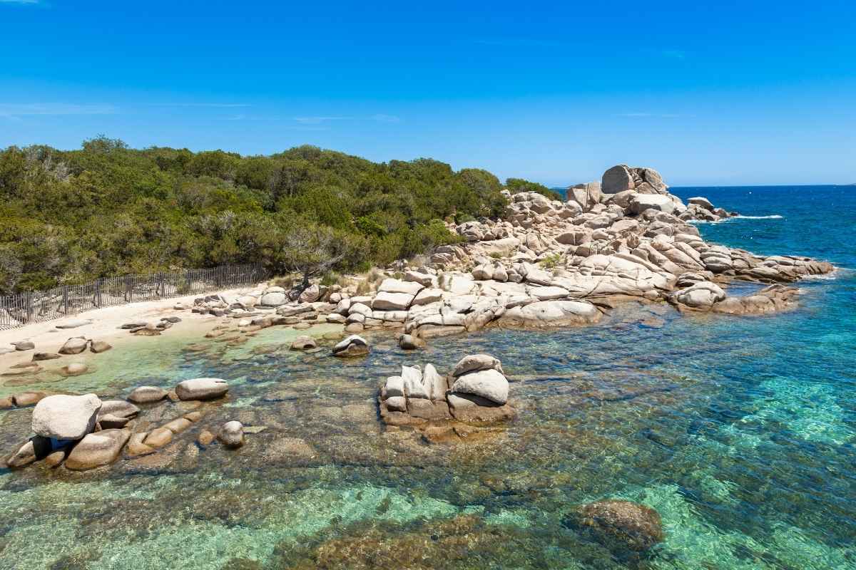 Palombaggia, la plage mythique de Corse à visiter comme un initié